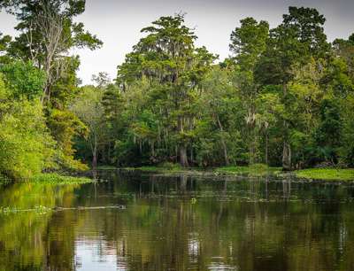 Melhores lugares para pescar no Pantanal do Brasil